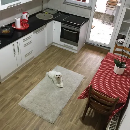 Apartment App M-and-m